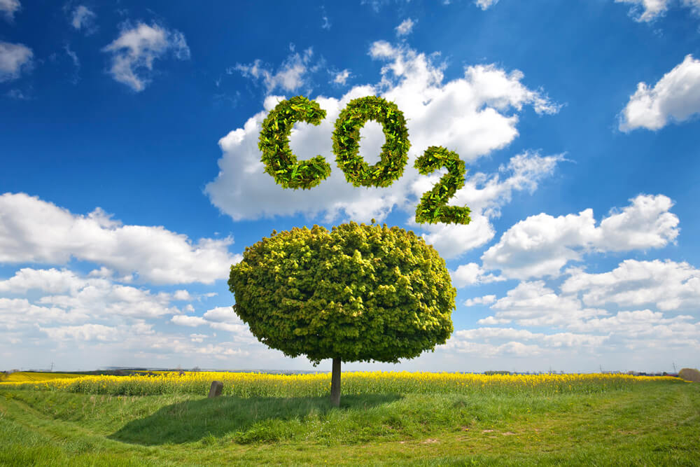 Nachhaltigkeit und Klimaschutz bei der nexnet