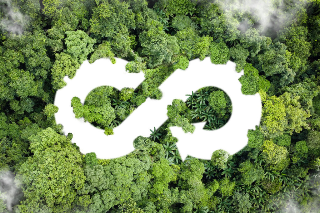 Kreislaufwirtschaft - Unser Fazit zum Aachener Dienstleistungsforum. Das Bild zeigt ein Vogelperspektive von einem Urwald. Und man erkennt ein weißes Unendlichkeitssymbol, das auf den Baumkronen dargestellt ist.