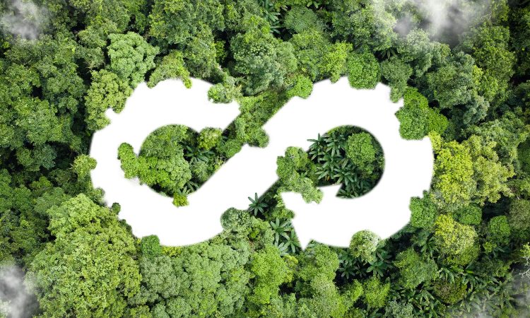 Circular economy - Our summary of the Aachen Service Forum. The picture shows a bird's eye view of a primeval forest. And you can see a white infinity symbol depicted on the treetops.