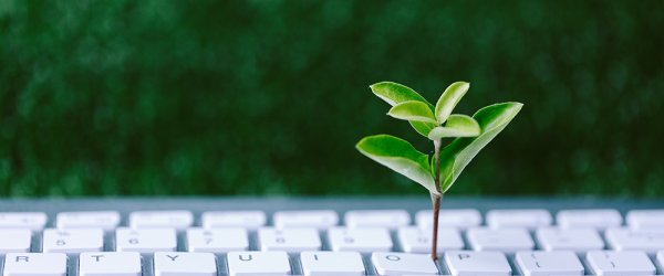 Dieses Bild steht stellvertretend für das Thema: Nachhaltigkeit im Büro. Es zeigt eine Tastatut im Vordergrund und grüne Pflanzen im Hintergrund. Aus der Tastatur wächst eine kleine Pflanze empor.