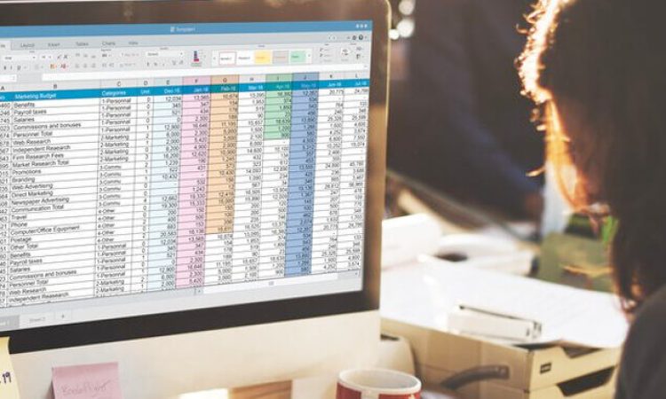 Eine Person sitzt an einem Schreibtisch vor einem Computerbildschirm. Auf dem Bildschirm werden Excel-Tabellen angezeigt.